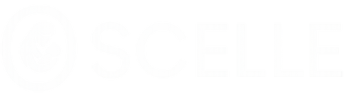 Loja Oscelle